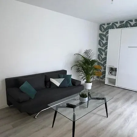 Un Havre De Paix En Plein Coeur De Près Chu Hébergement de vacances Clermont-Ferrand